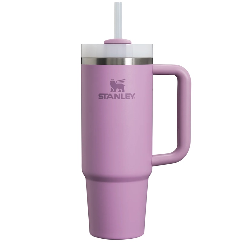 Beli Botol Minum Training Stanley The Quencher H2.0 Flowstate™ Tumbler 30 Oz Lilac Original 1010827656