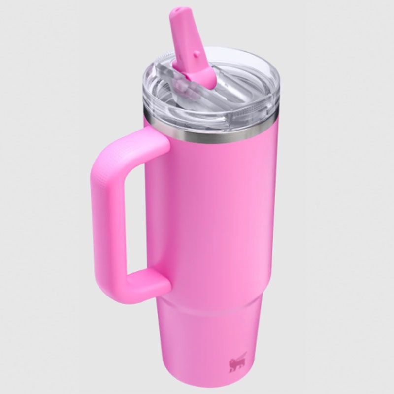 Jual Botol Minum Basket Stanley Quencher Protour Tumb Popsicle Pink Original 1010829433 - hoopspoint.com