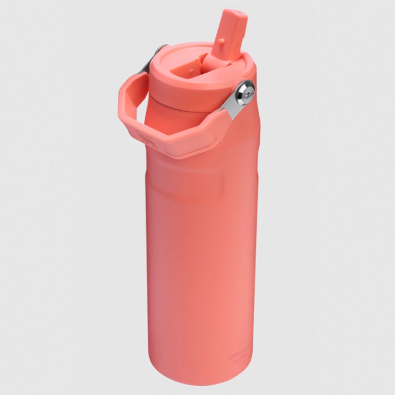 Jual Botol Minum Basket Stanley Iceflw Aerolght Fstflw Wb Pucker Peach Original 1011283416 - hoopspoint.com