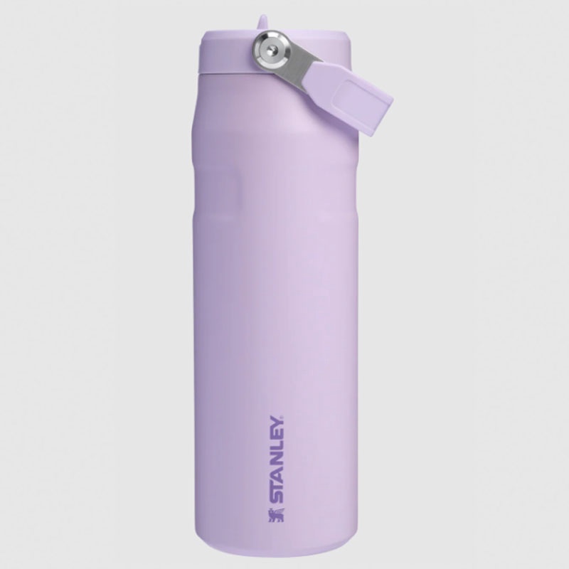 Beli Botol Minum Basket Stanley Iceflw Aerolght Fstflw Wb Sour Grape Original 1011283418