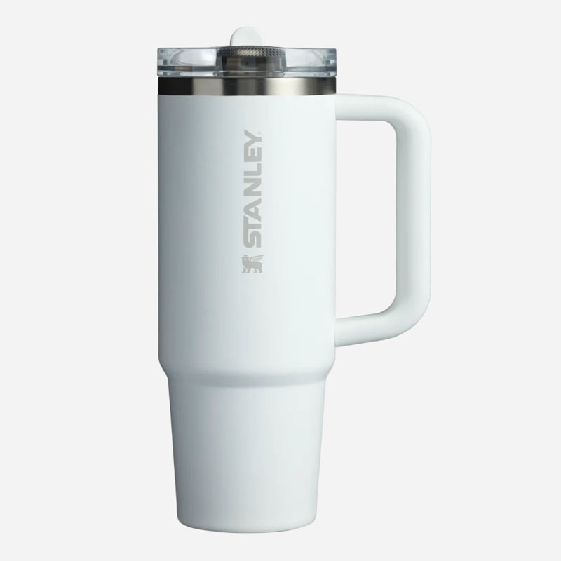 Jual Botol Minum Training Stanley Quencher Protour Tumb 30 Oz Frost Original 1012485176 - hoopspoint.com