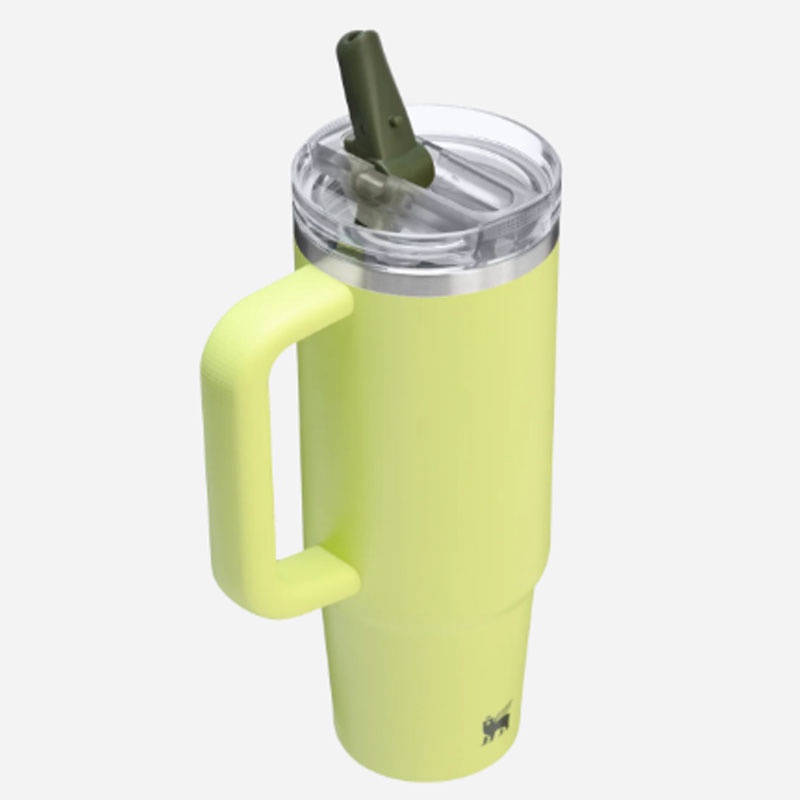 Jual Botol Minum Basket Stanley Quencher Protour Tumb Prickly Pear Original 1012485380 - hoopspoint.com