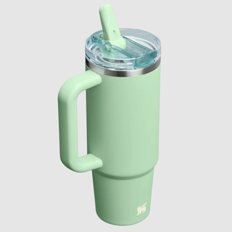 Jual Botol Minum Training Stanley Quencher Protour Tumb 30 Oz Pistachio Original 1012485399 - hoopspoint.com