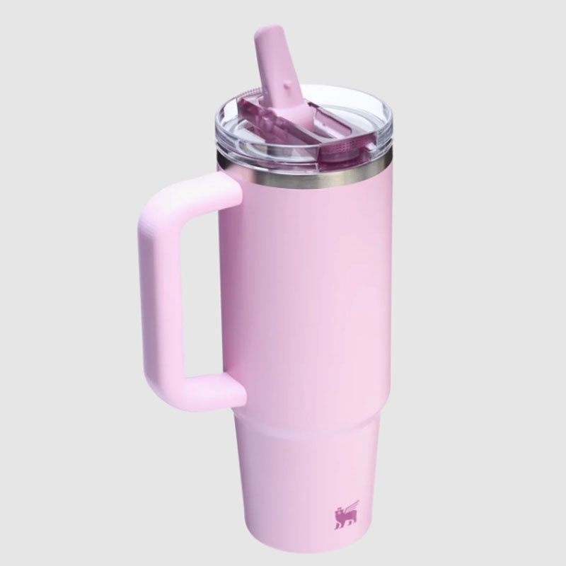 Jual Botol Minum Training Stanley The Quencher Protour Flip Straw Tumbler 30 Oz Cherry Blossom Original 1012485412 - hoopspoint.com