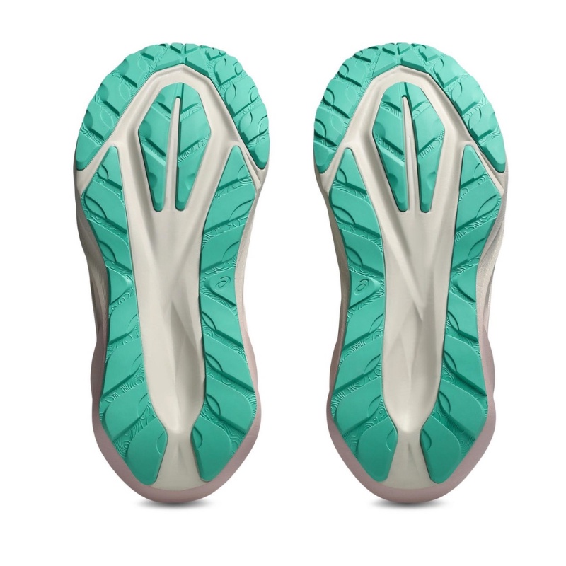 Jual Sepatu Lari Wanita Asics Wmns Novablast 5 Tr Light Dust-Cacti Original 1012B983.020 - hoopspoint.com