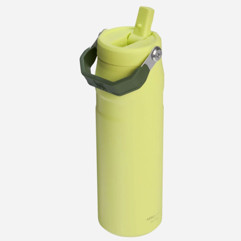 Jual Botol Minum Basket Stanley Iceflw Aerolight Flpstrw Vac Wb Prickly Pear Original 1013072056 - hoopspoint.com