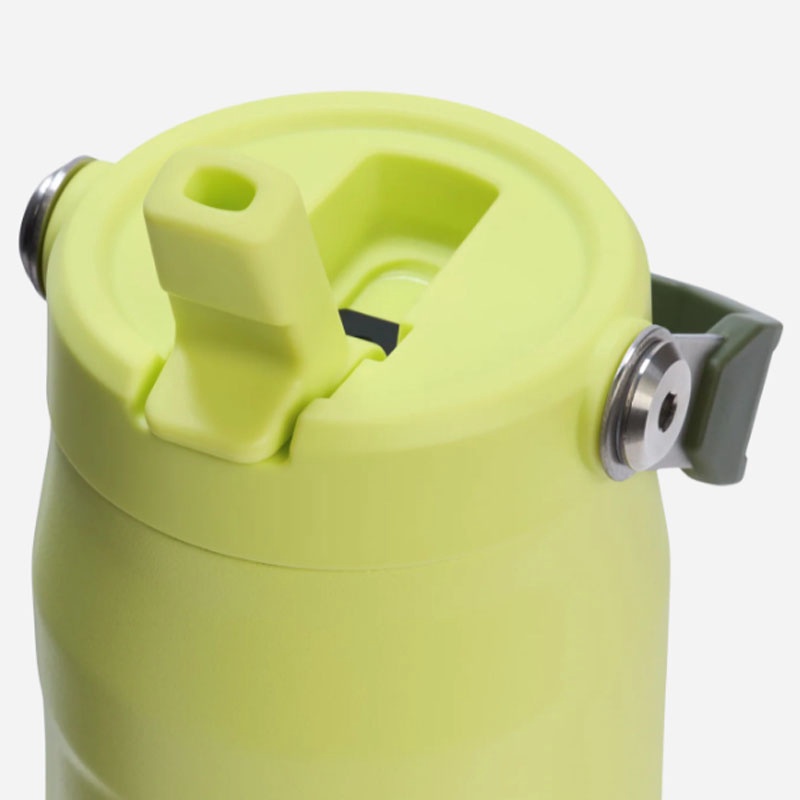 Jual Botol Minum Basket Stanley Iceflw Aerolight Flpstrw Vac Wb Prickly Pear Original 1013072056 - hoopspoint.com