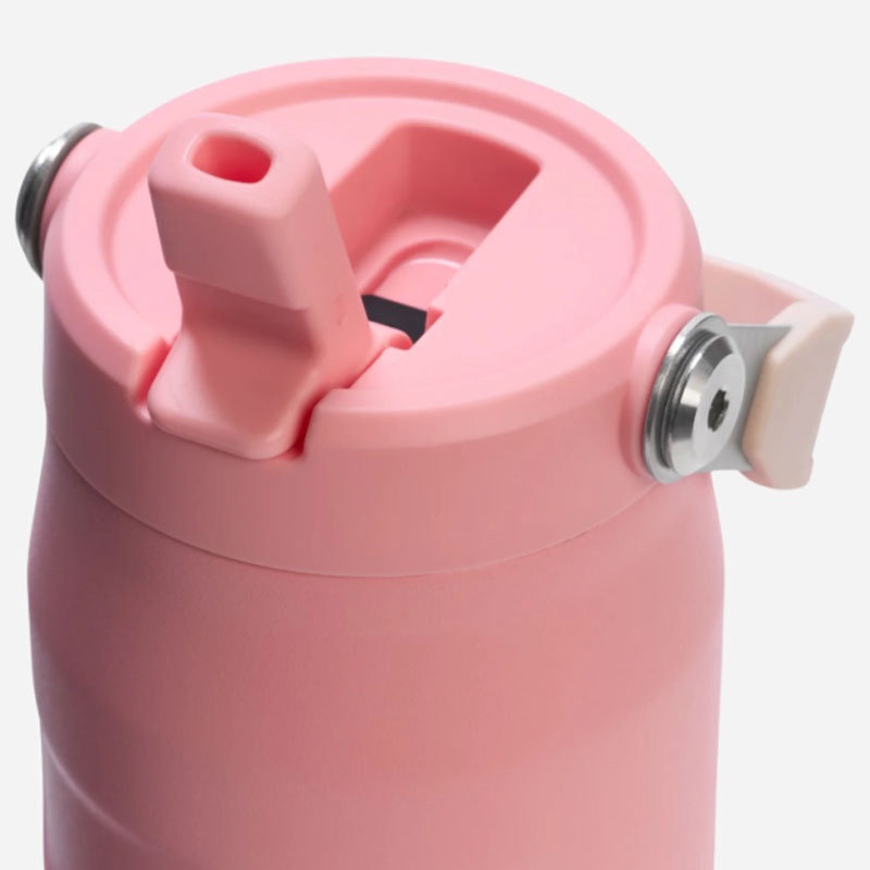 Jual Botol Minum Basket Stanley Iceflw Aerolight Flpstrw Vac Wb Pink Mesa Original 1013072057 - hoopspoint.com