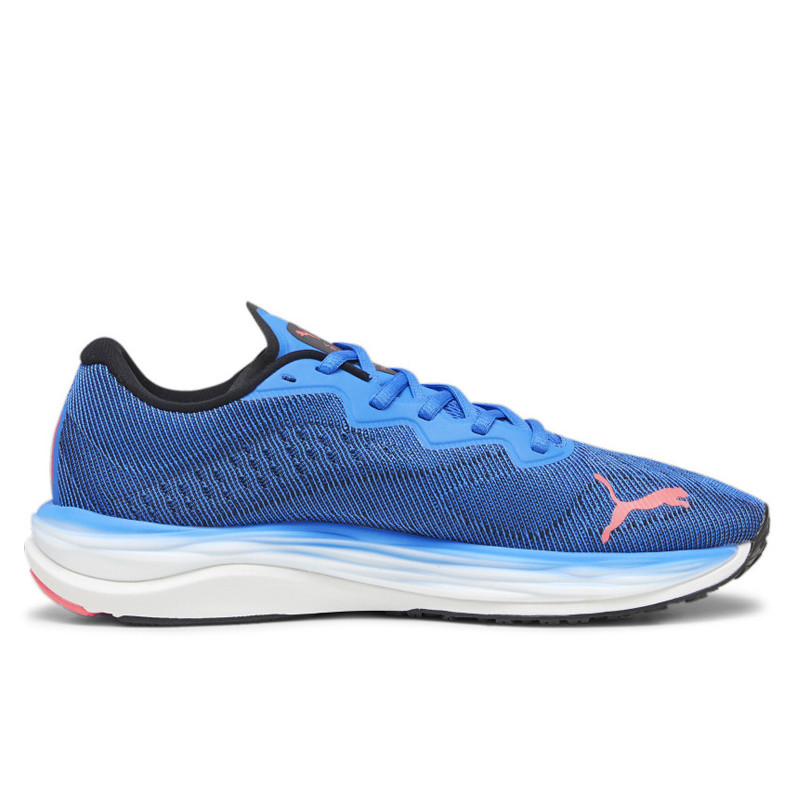 Jual Sepatu Lari Puma Velocity Nitro 2 Blue Original 19533719 - hoopspoint.com