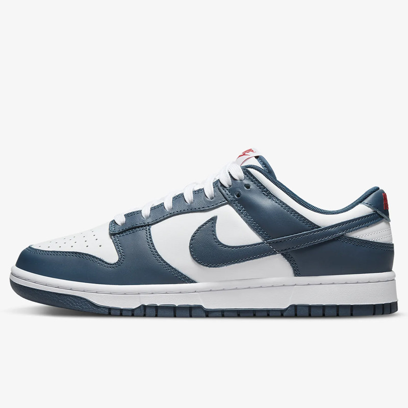 Jual Sepatu Sneakers Nike Dunk Low Retro Valerian Blue Original Dd1391-400 - hoopspoint.com