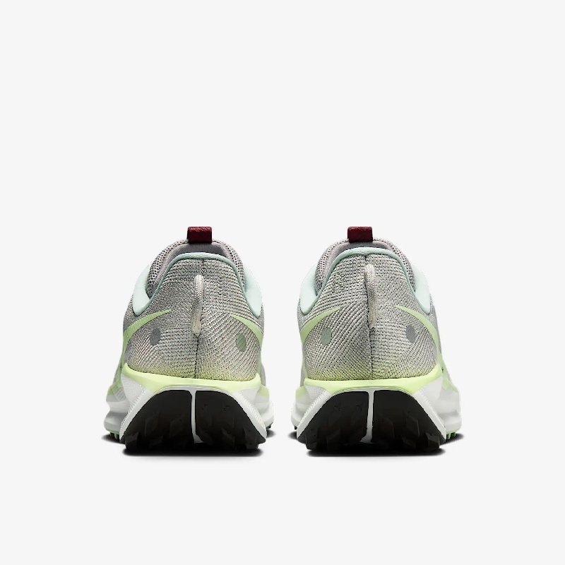 Jual Sepatu Trail Nike Reactx Pegasus Trail 5 Light Silver Original Dv3864-004 - hoopspoint.com