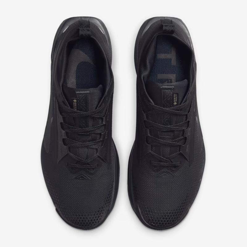 Jual Sepatu Trail Nike Pegasus Trail 5 Gore-Tex Black - Anthracite - Black Original Fq0908-002 - hoopspoint.com