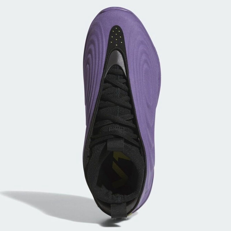 Jual Sepatu Basket Nike Harden Volume 10 Tech Purple Original Jq9426 - hoopspoint.com