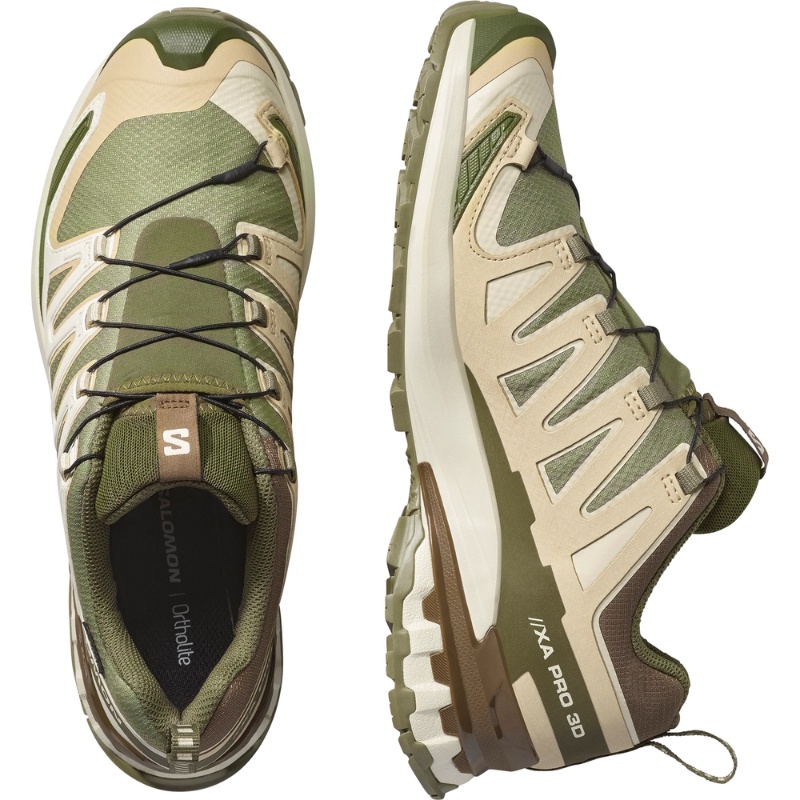 Jual Sepatu Trail Salomon Xa Pro 3D V9 Gore-Tex Deep Lichen Green-Safari Original Sall478202 - hoopspoint.com