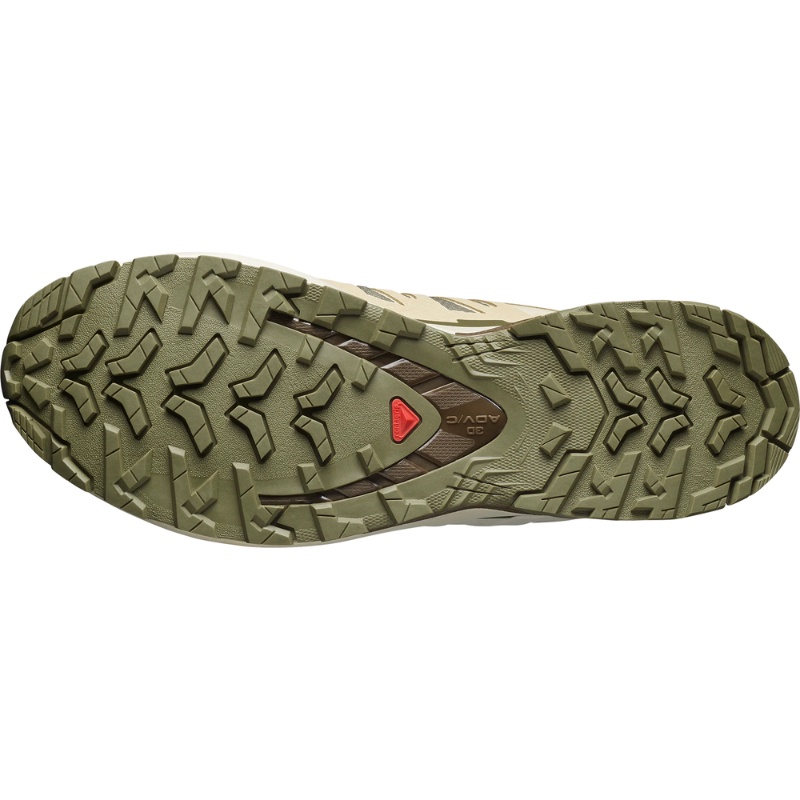 Jual Sepatu Trail Salomon Xa Pro 3D V9 Gore-Tex Deep Lichen Green-Safari Original Sall478202 - hoopspoint.com
