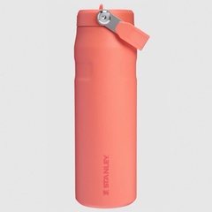 Beli Botol Minum Basket Stanley Iceflw Aerolght Fstflw Wb Pucker Peach Original 1011283416