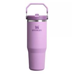 Beli Botol Minum Training Stanley Iceflow™ Tumbler With Flip Straw | 30 Oz Lilac Original 1012043169