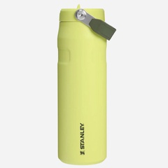 Beli Botol Minum Basket Stanley Iceflw Aerolight Flpstrw Vac Wb Prickly Pear Original 1013072056
