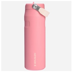 Beli Botol Minum Basket Stanley Iceflw Aerolight Flpstrw Vac Wb Pink Mesa Original 1013072057