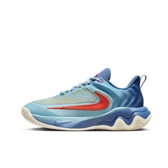 Beli Sepatu Basket Anak Nike Giannis Immortality 4 Big Kids Blue Original Fz6734-400
